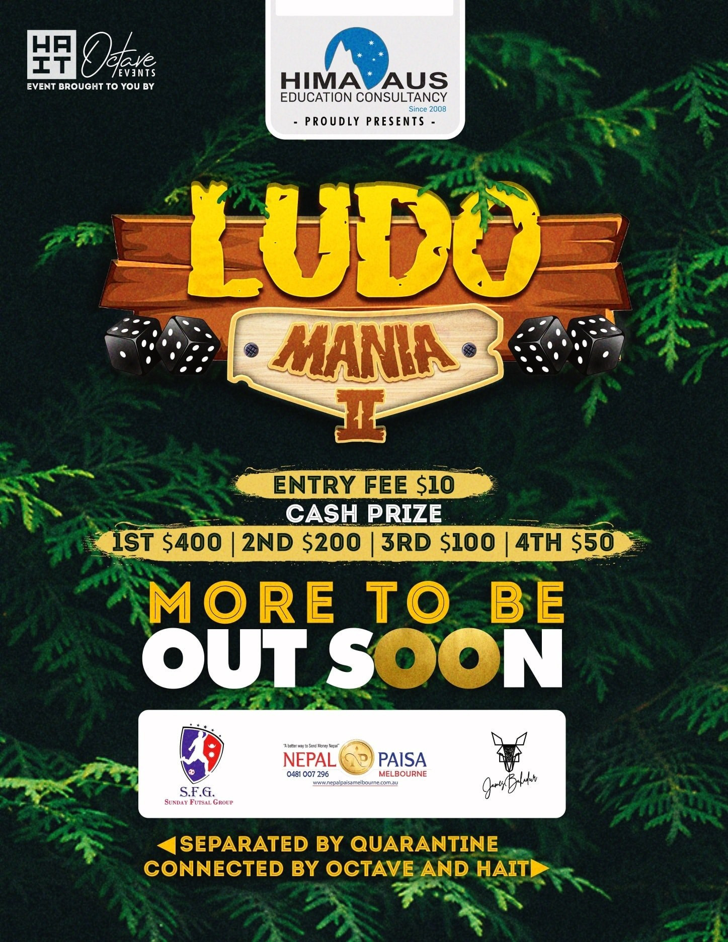 Ludo Mania